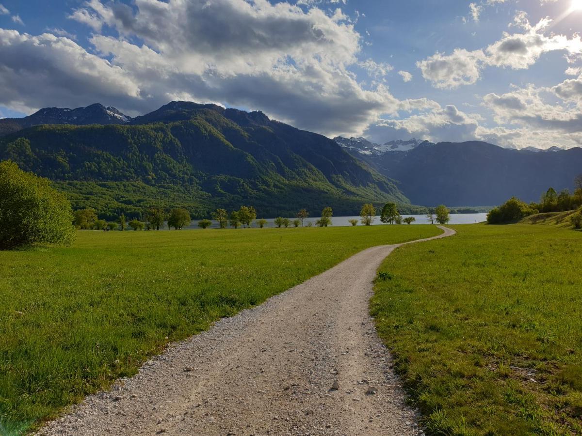 Apartments Vila Darja Bohinj Dış mekan fotoğraf