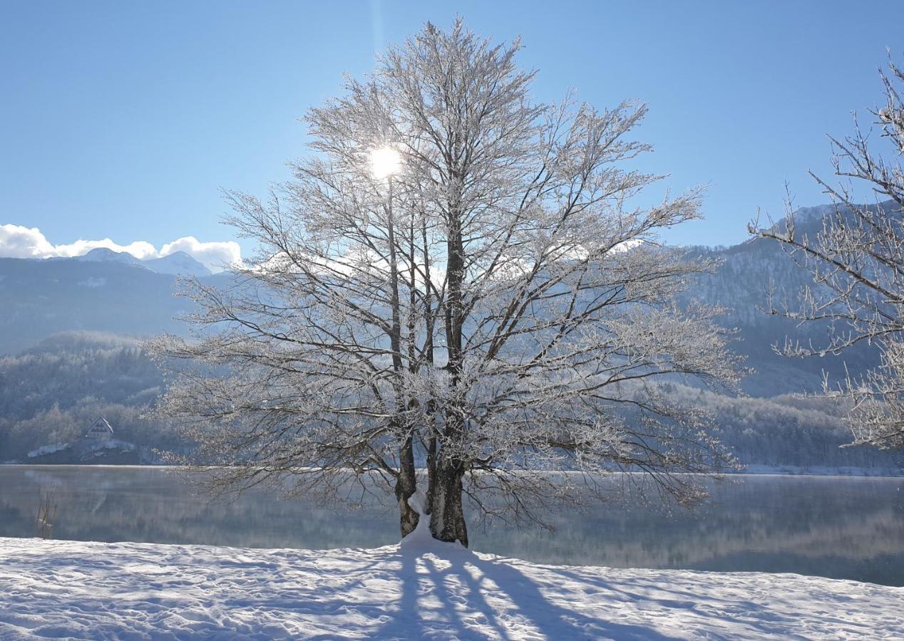 Apartments Vila Darja Bohinj Dış mekan fotoğraf