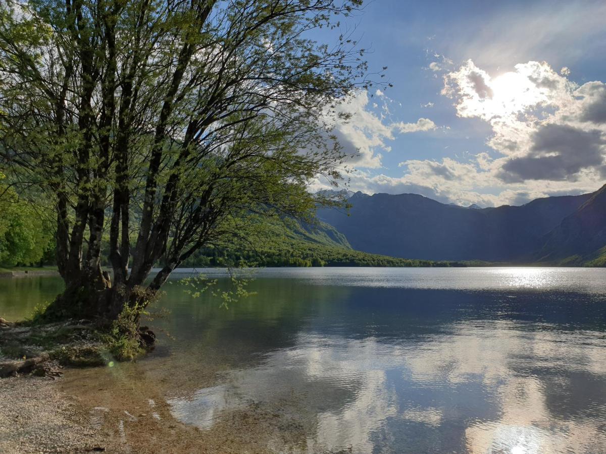 Apartments Vila Darja Bohinj Dış mekan fotoğraf