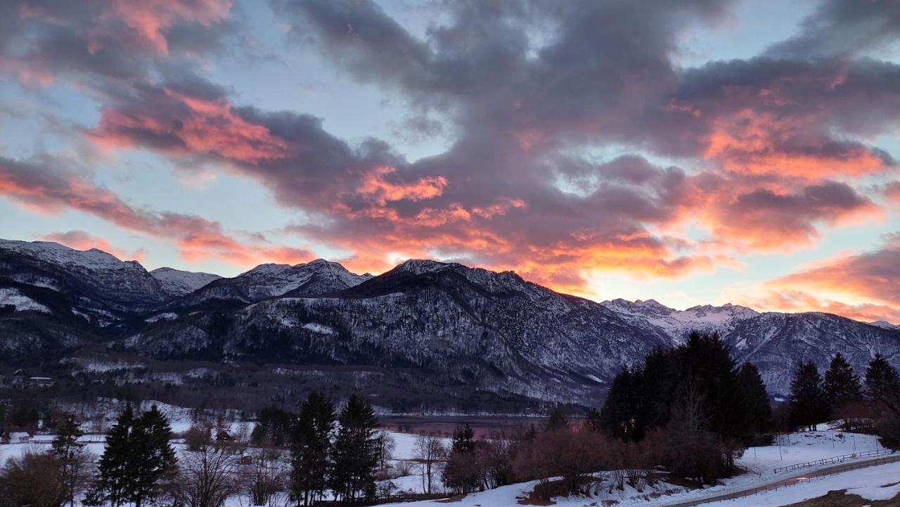 Apartments Vila Darja Bohinj Dış mekan fotoğraf